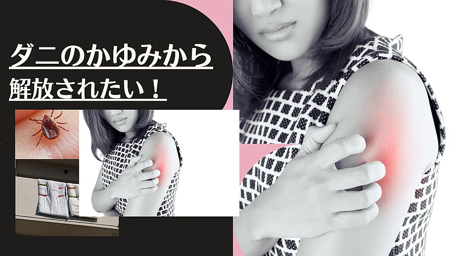 ダニを徹底的に除去・避ける方法